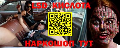тгк Гусев